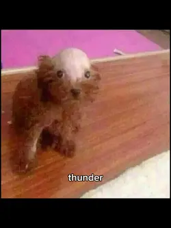 before the thunder..