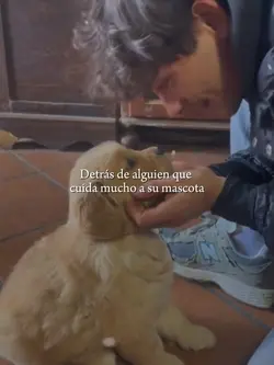 Mi mascota 