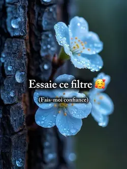 Essaie ce filtre
