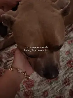 Fly high buddy 🕊️🕊️