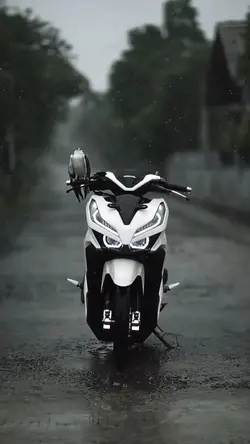 Vario putih elang