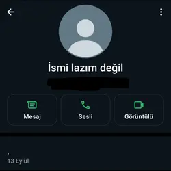 ne kadar istemesemde