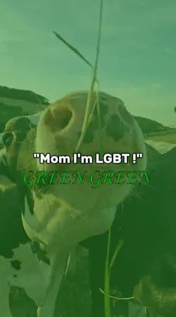GREEN GREEN RED RED 
