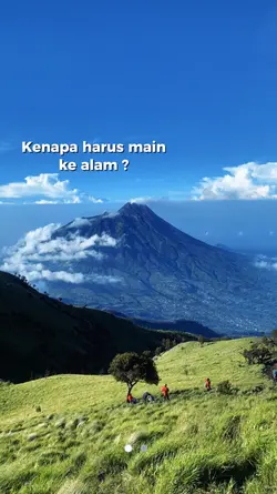 Kenapa harus main ke