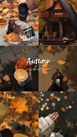 autumn vibes