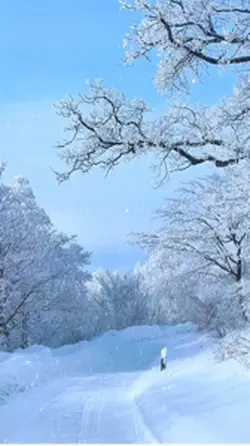 Snow Trend