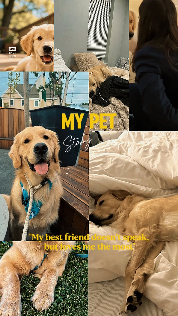 My pet story