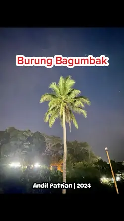 Lagu Daerah Jambi