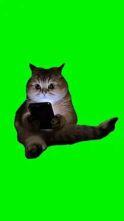 Cat with phone
