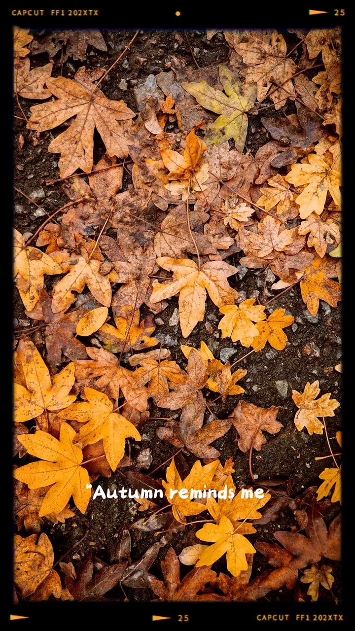 Autumn quotes