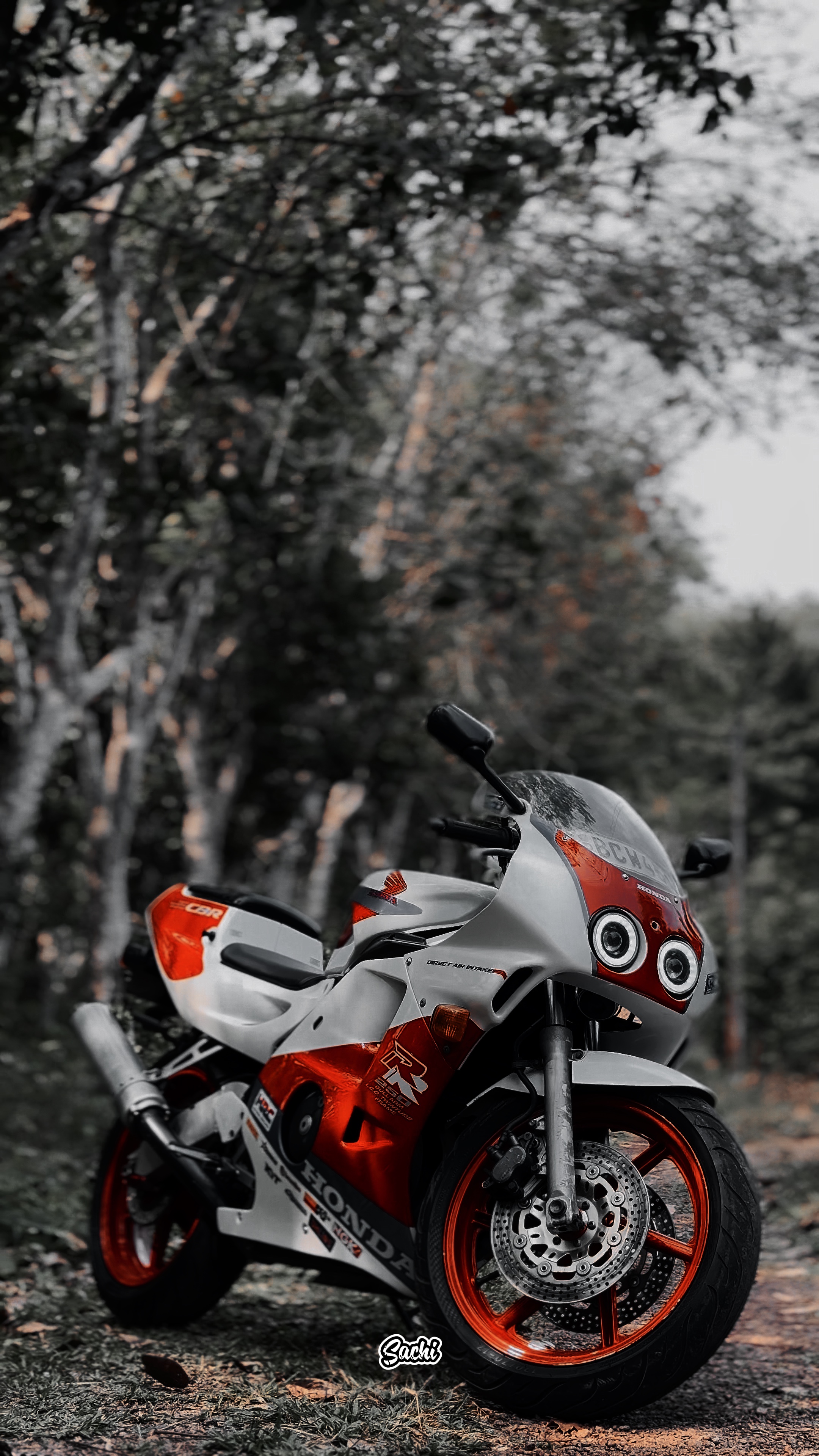 Cover Picture