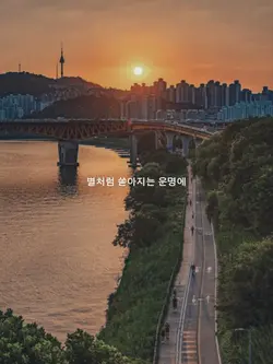 You're My Everything