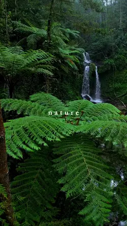 nature