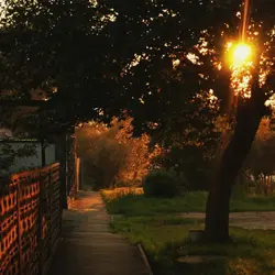 Falling-Harry Styles