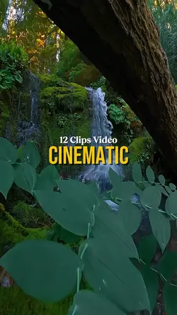 12 Clips Video 