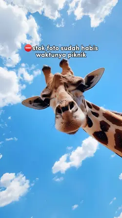 waktunya piknik