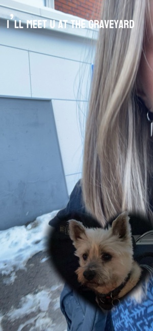 Well will meet again