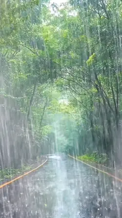 Rain 