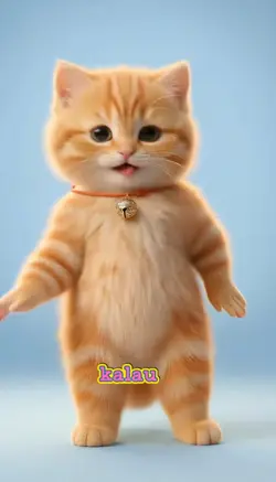 Baby Cat Cute
