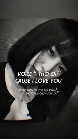 voice thỏ ơi