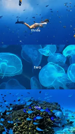 underwater