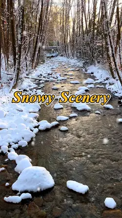Snowy Scenery 