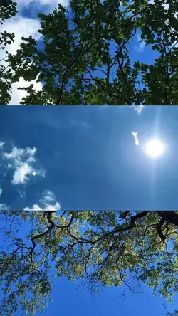 Colagem 3 vídeos 