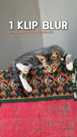 Efek spot blur/bokeh