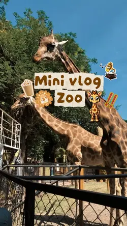 zoo
