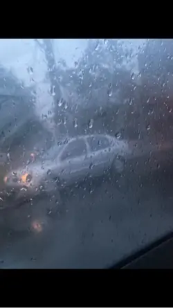 Celmai cuminte golan