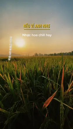 NẾU VÍ ANH NHƯ