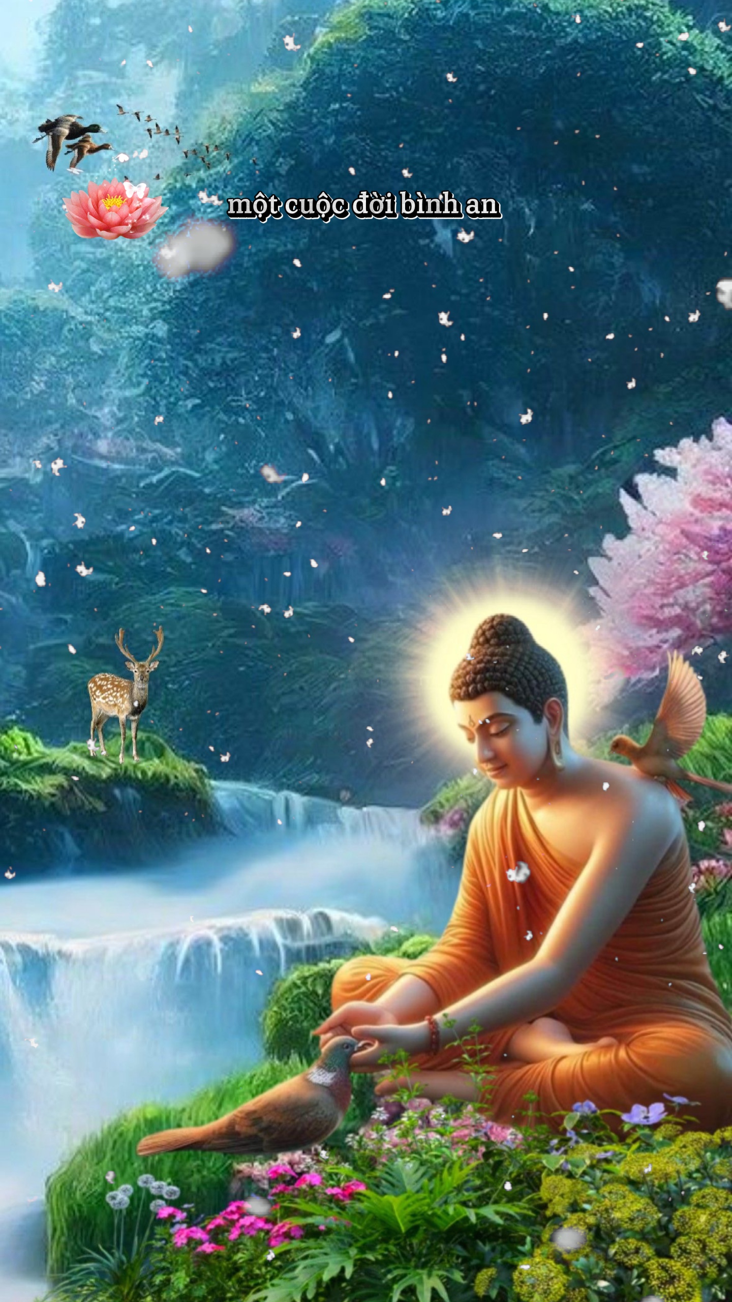 Một cuộc đời bình an