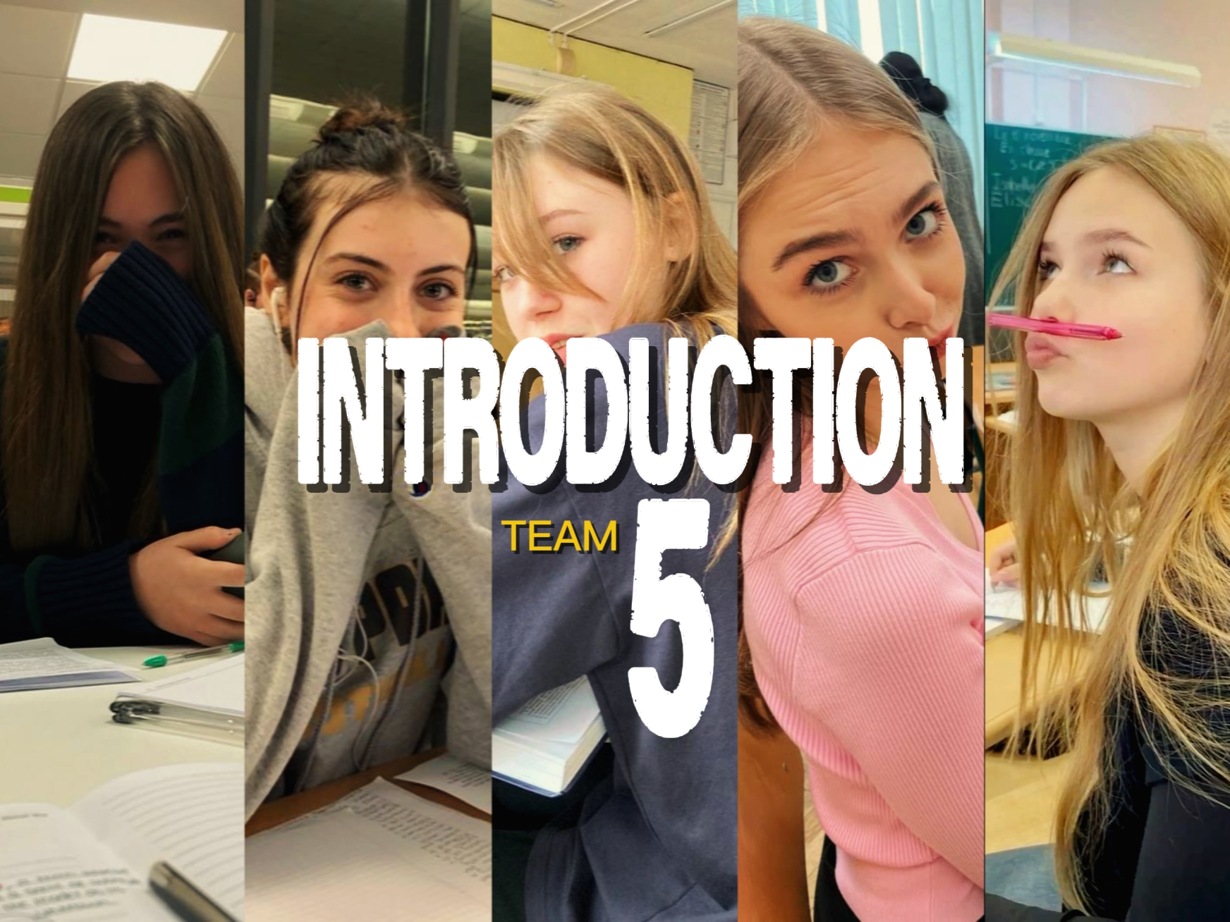 INTRODUCTION 5
