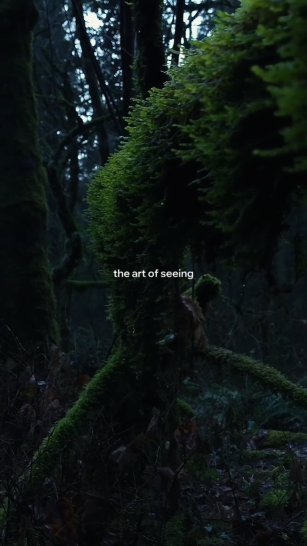 The art of seeing 