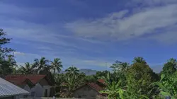 PEMAIN CINTA