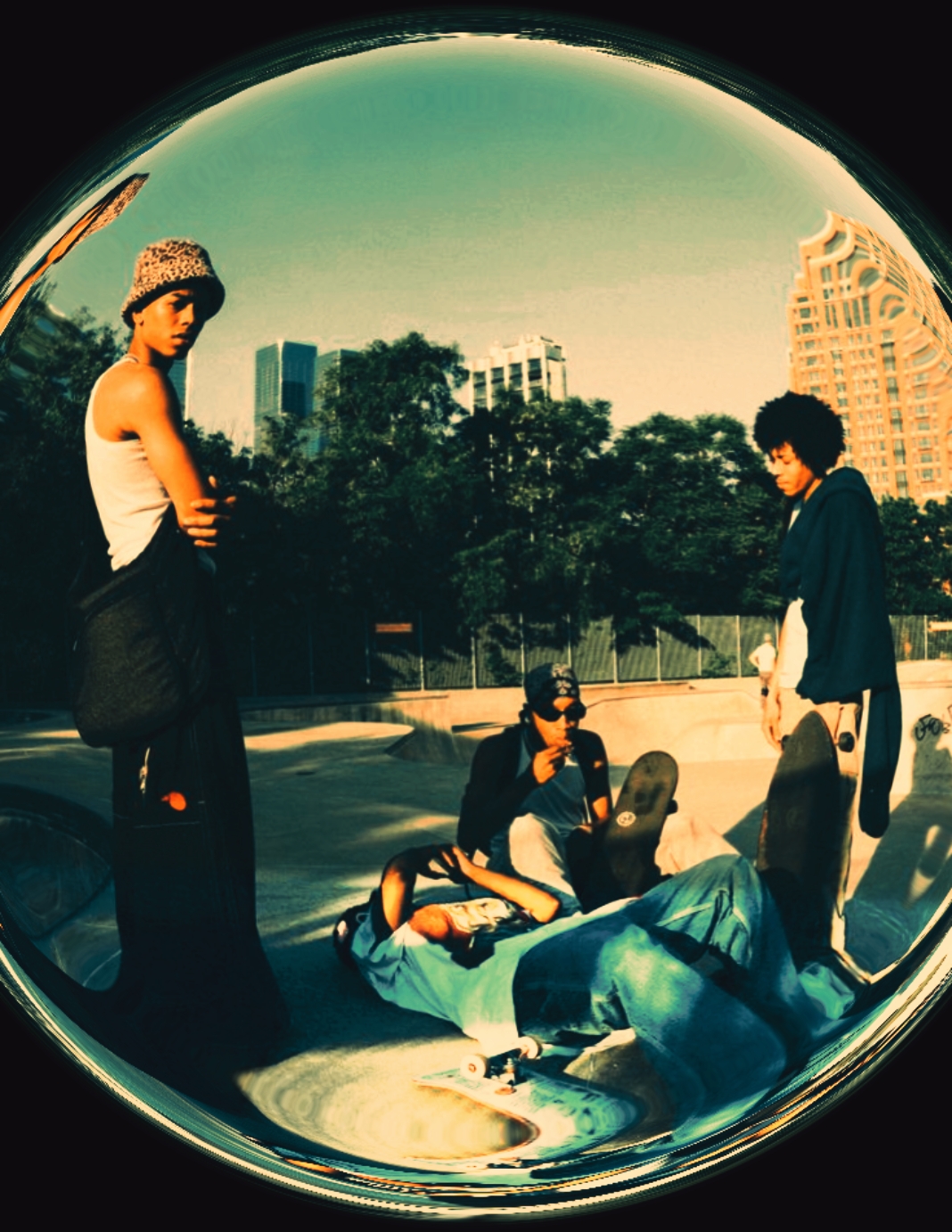 Cover Picture