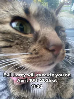 I dont make the rule