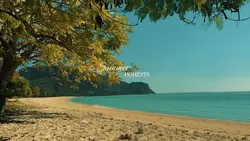 Summer Vlog