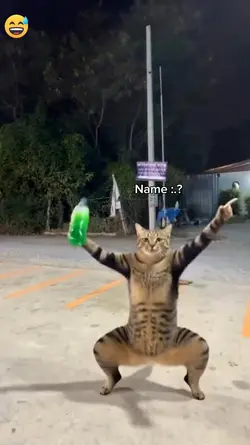Likes to dance 