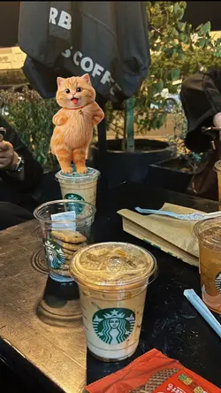 CAT CUTE DANCE