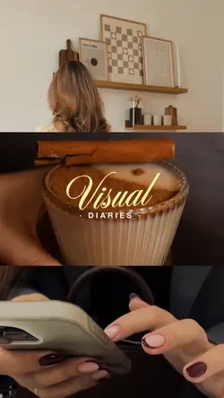 visuap diaries