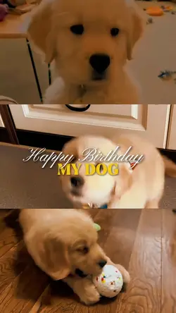 Feliz Aniversário