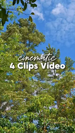 4 Video Cinematic