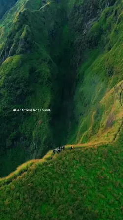 Stress Not Found