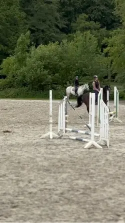 Horse fail🌚