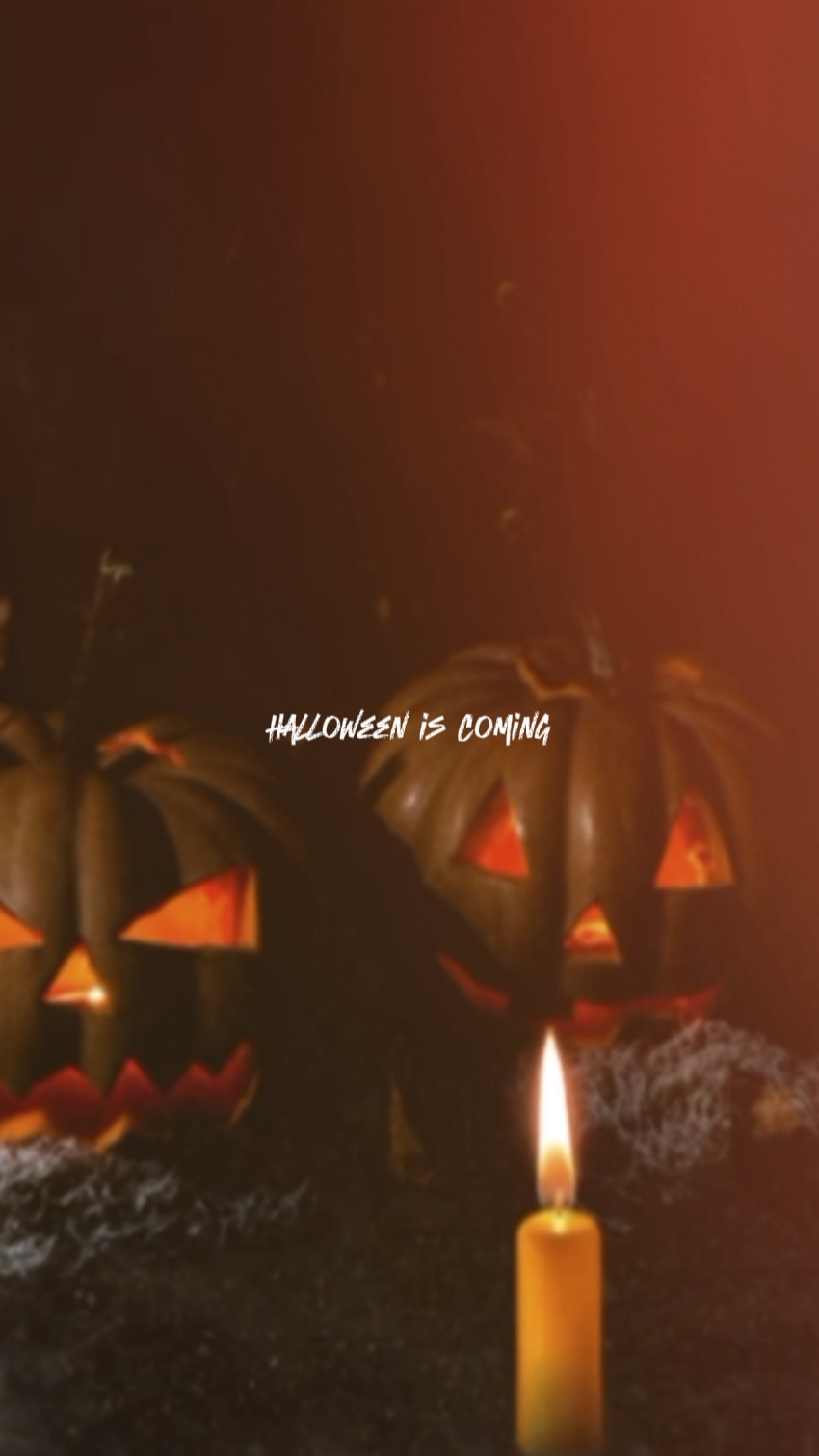 Halloween steht vor der Tür 