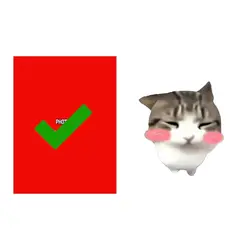 Dam dam di di Cat