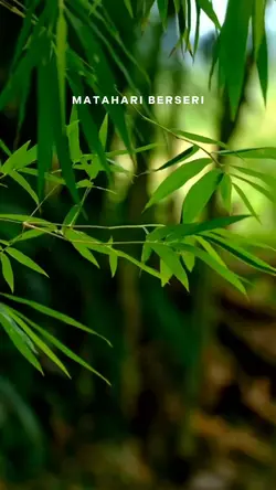 MATAHARI BERSERI