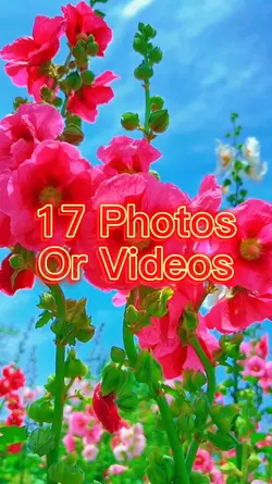 17 Photo Slides