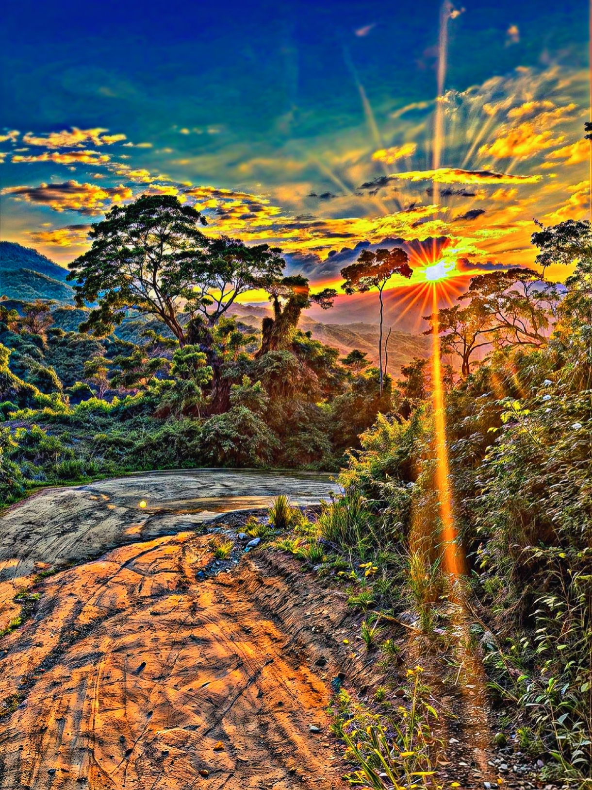 Cover Picture